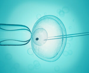 fertilização in vitro