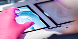 Embriões não transferidos: profissional analisando dados em tablet